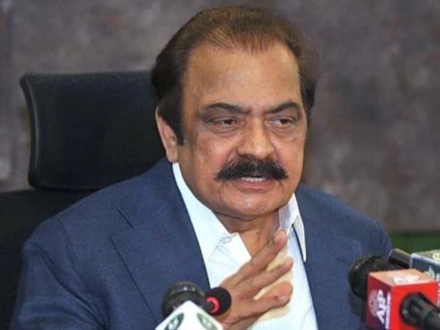 Government to Proceed with Consensus Parts of 27th Amendment, Confirms Sanaullah